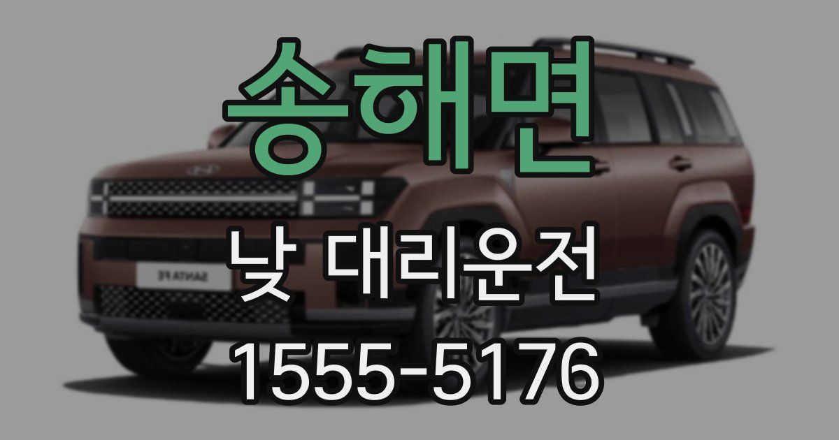 송해면 낮 대리운전
