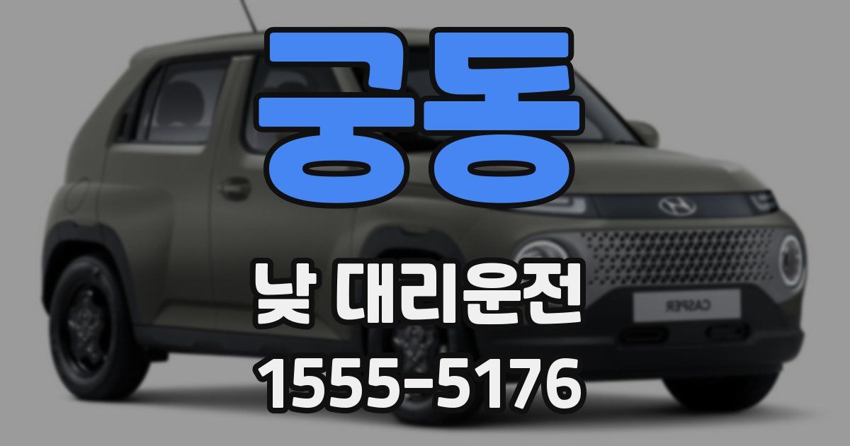 궁동 낮 대리운전