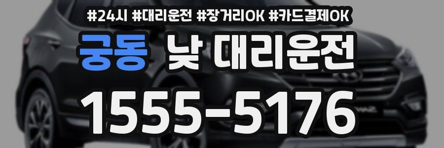 궁동 낮 대리운전