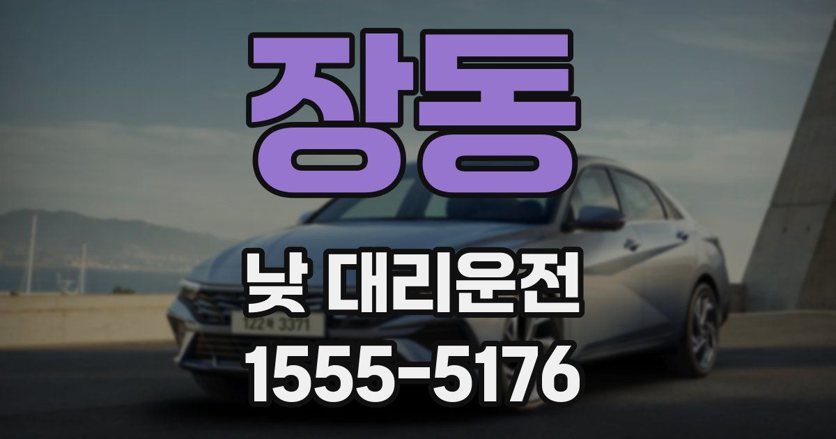 장동 낮 대리운전