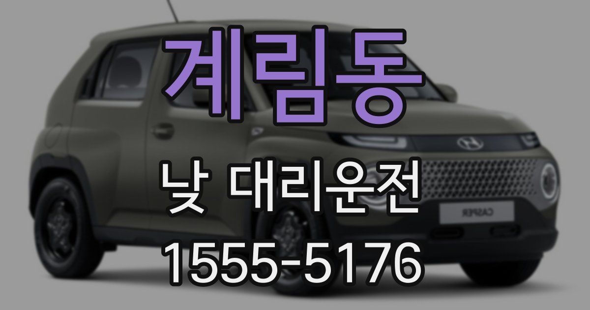 계림동 낮 대리운전
