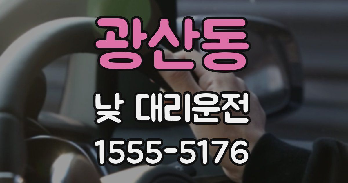 광산동 낮 대리운전