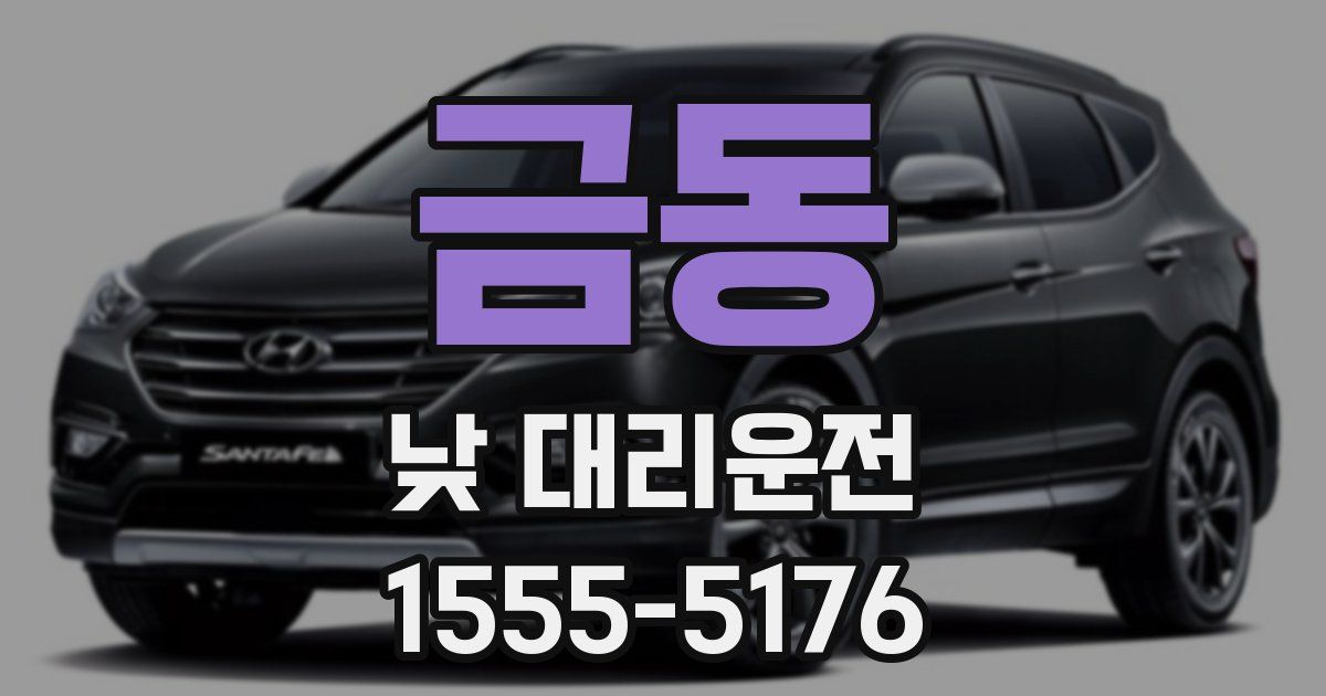 금동 낮 대리운전