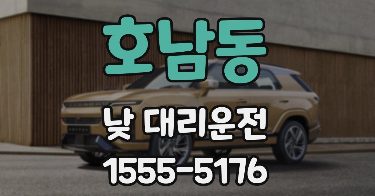 호남동 낮 대리운전