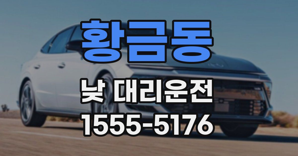 황금동 낮 대리운전