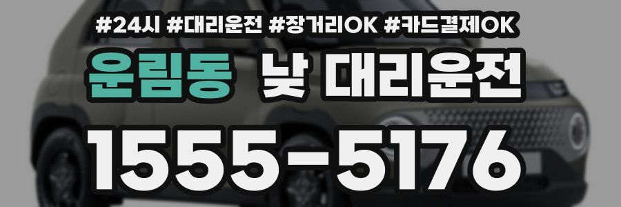 운림동 낮 대리운전