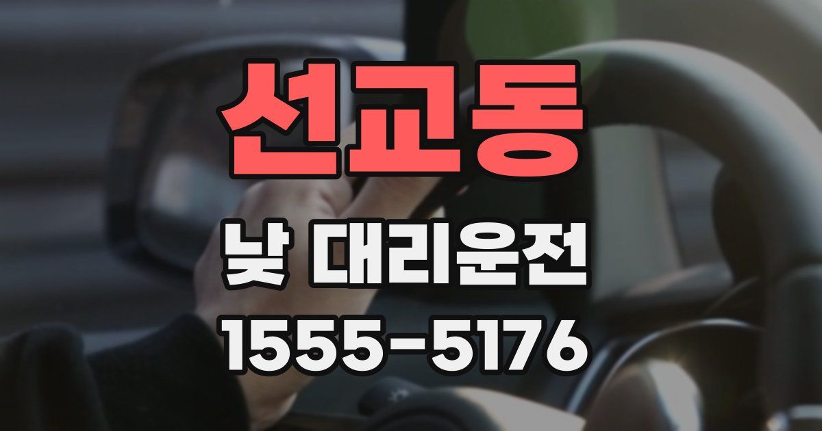 선교동 낮 대리운전