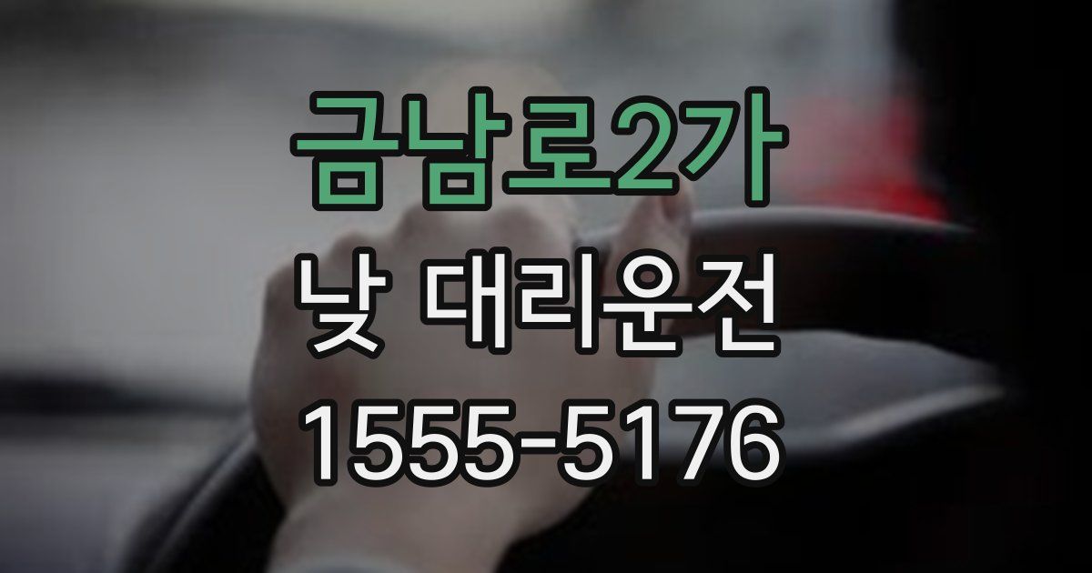 금남로2가 낮 대리운전