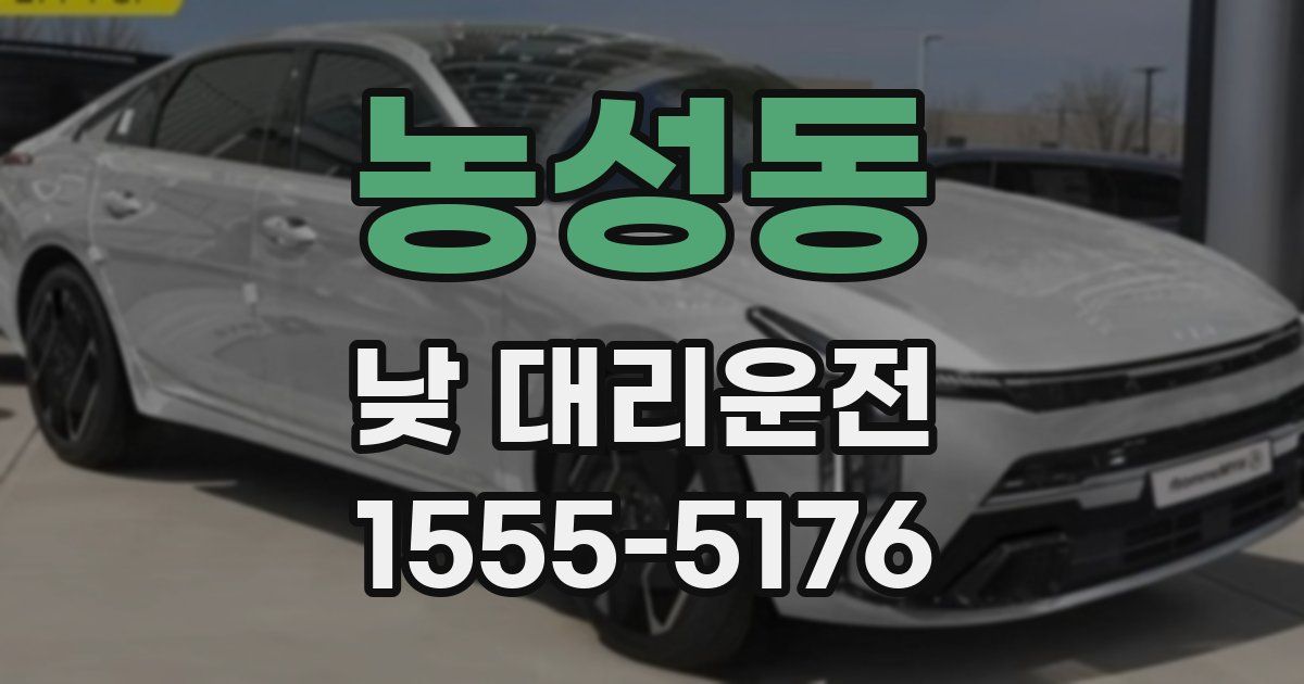 농성동 낮 대리운전