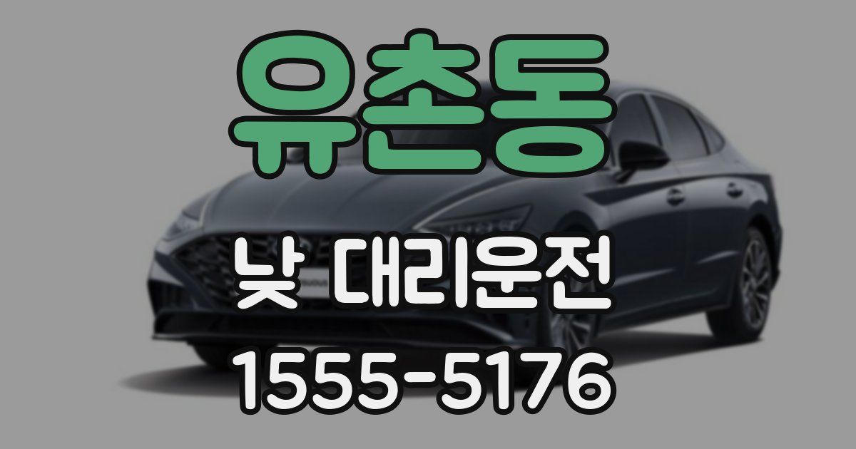 유촌동 낮 대리운전
