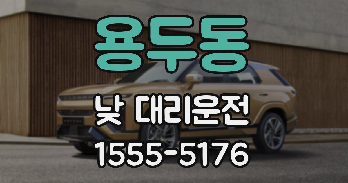용두동 낮 대리운전