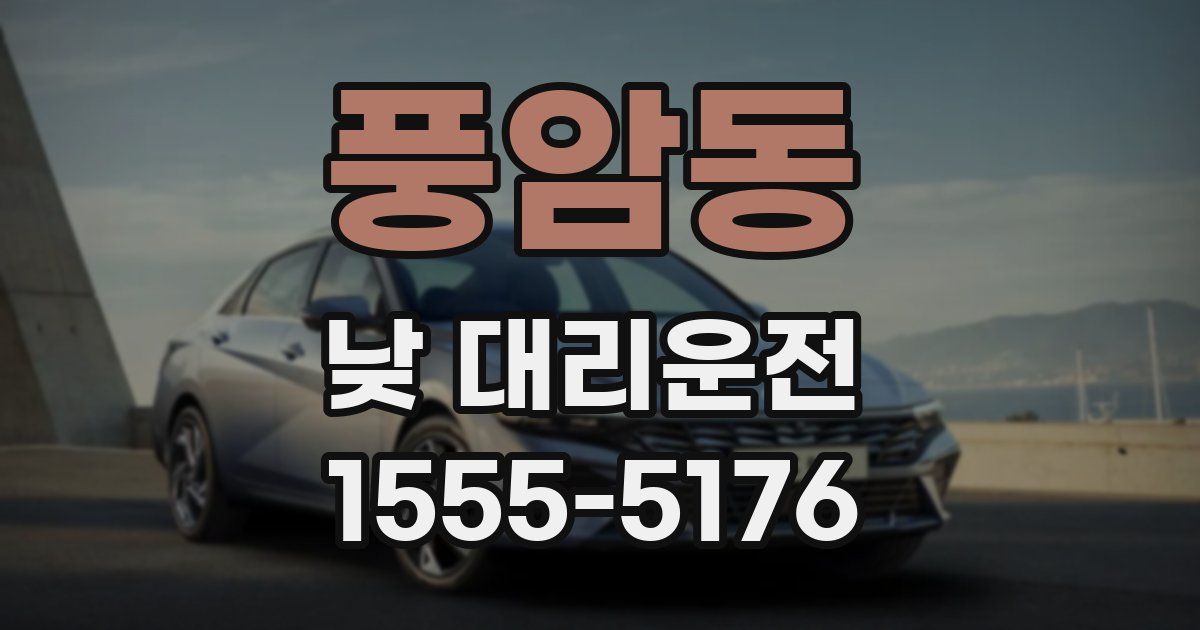풍암동 낮 대리운전