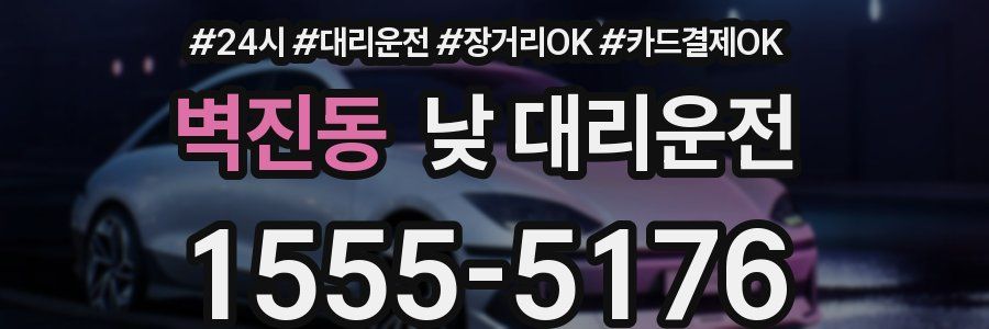 벽진동 낮 대리운전