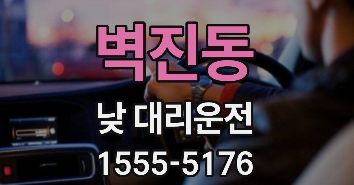 벽진동 낮 대리운전