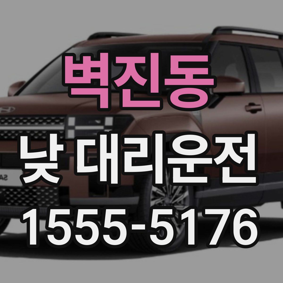 벽진동 낮 대리운전