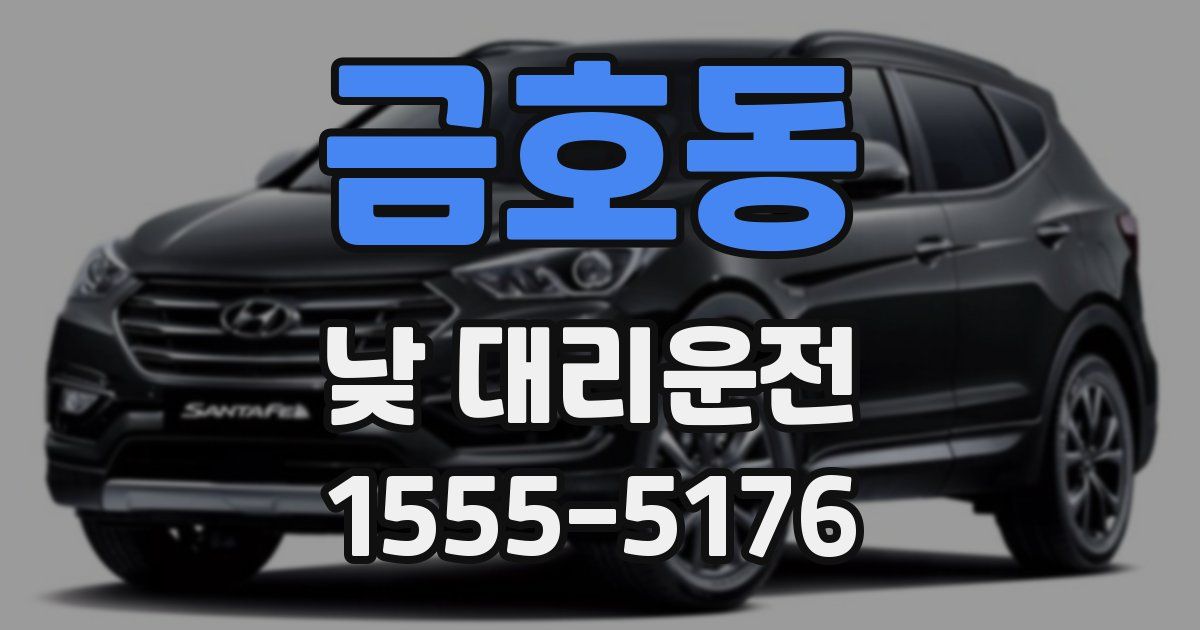금호동 낮 대리운전