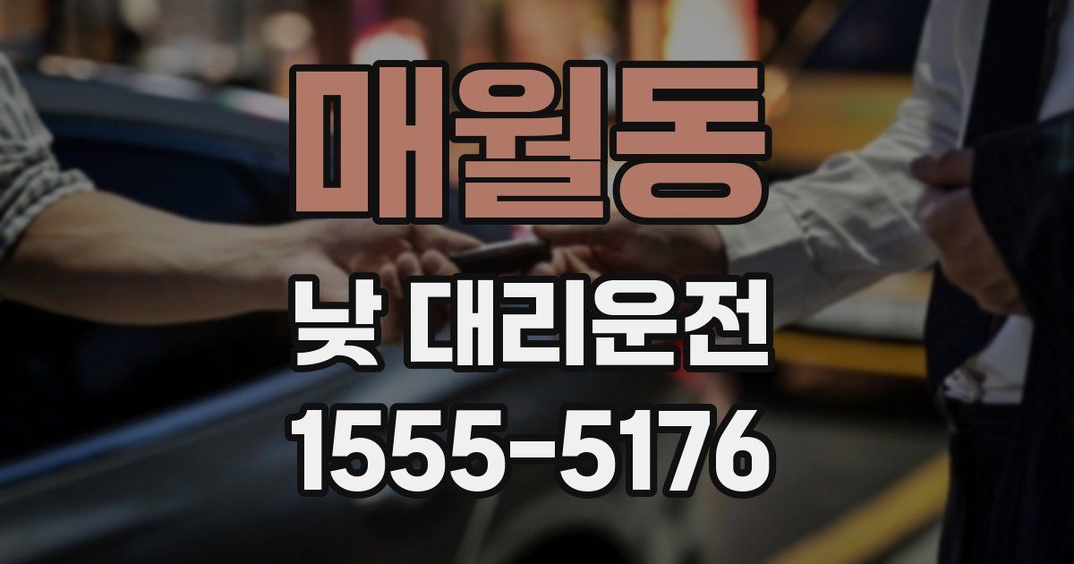 매월동 낮 대리운전