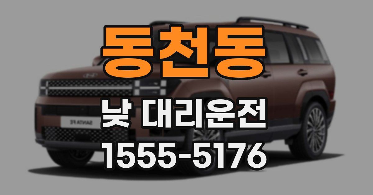 동천동 낮 대리운전
