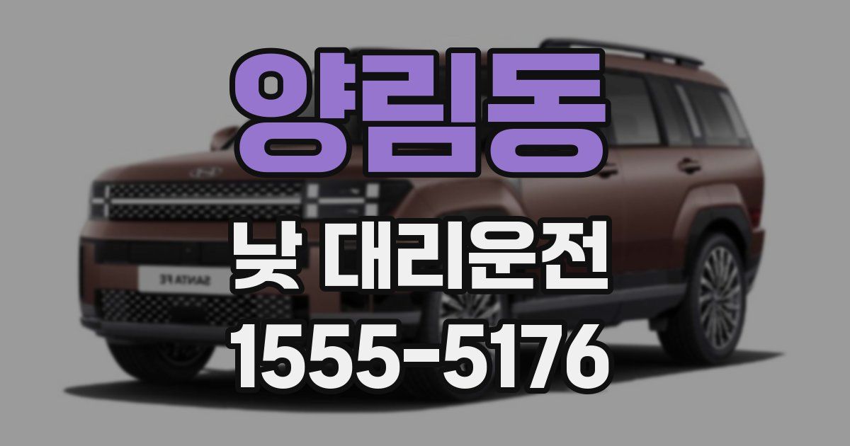 양림동 낮 대리운전
