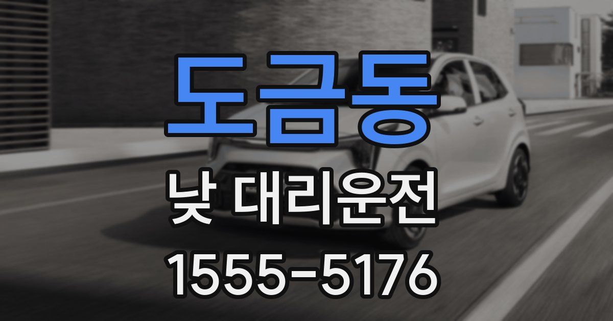 도금동 낮 대리운전