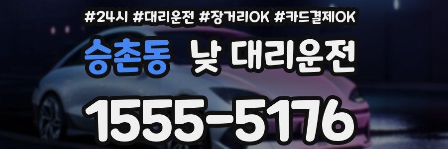 승촌동 낮 대리운전