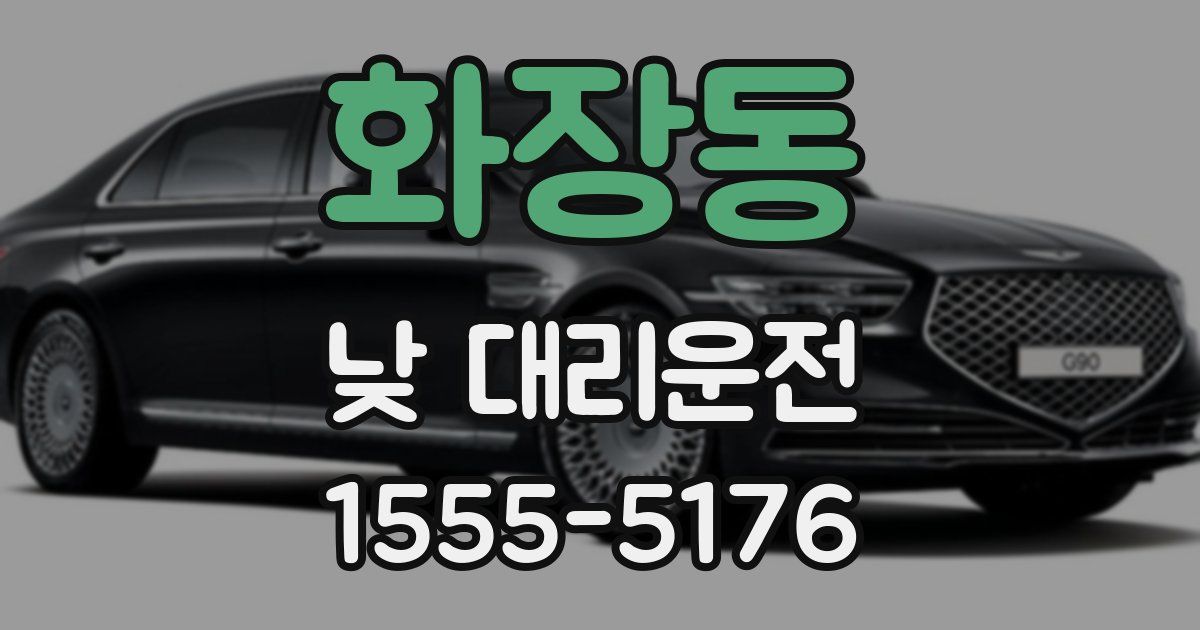 화장동 낮 대리운전