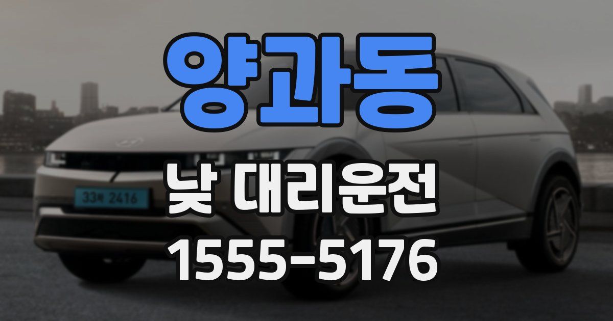 양과동 낮 대리운전