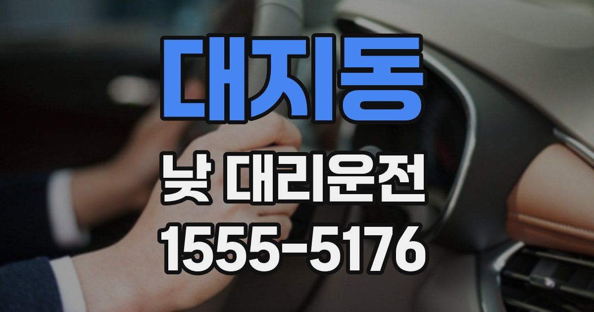 대지동 낮 대리운전