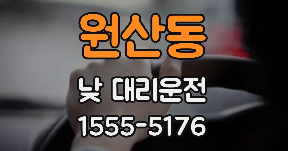 원산동 낮 대리운전