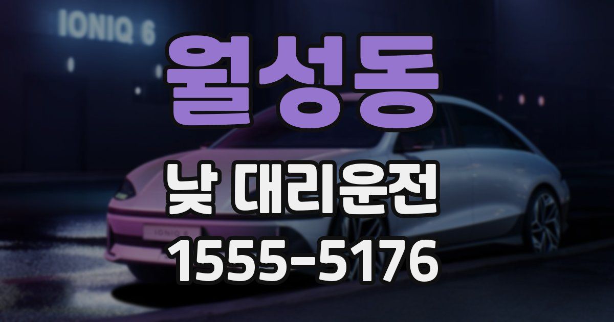 월성동 낮 대리운전