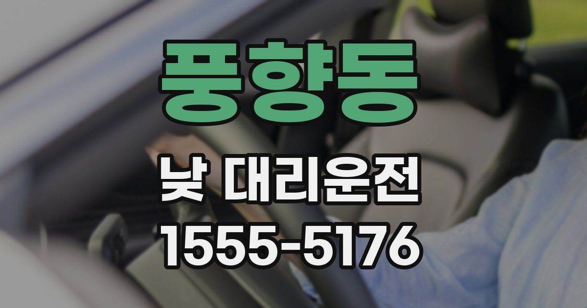 풍향동 낮 대리운전