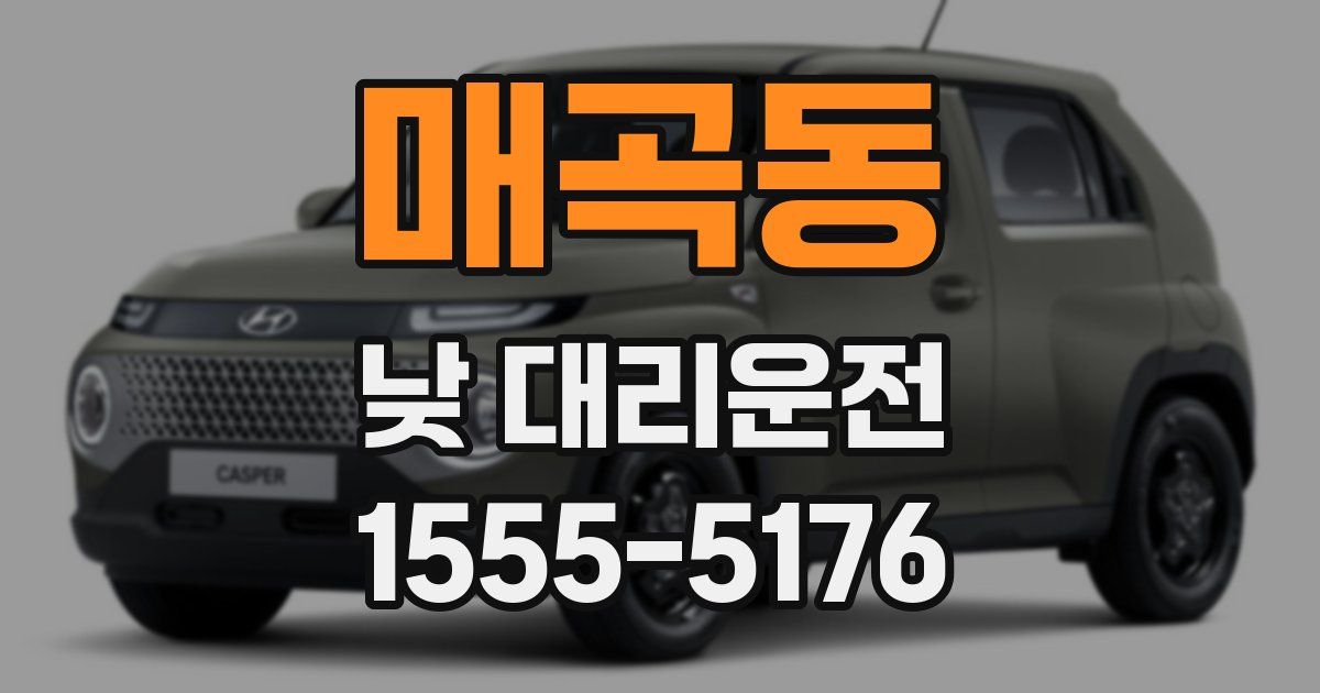 매곡동 낮 대리운전
