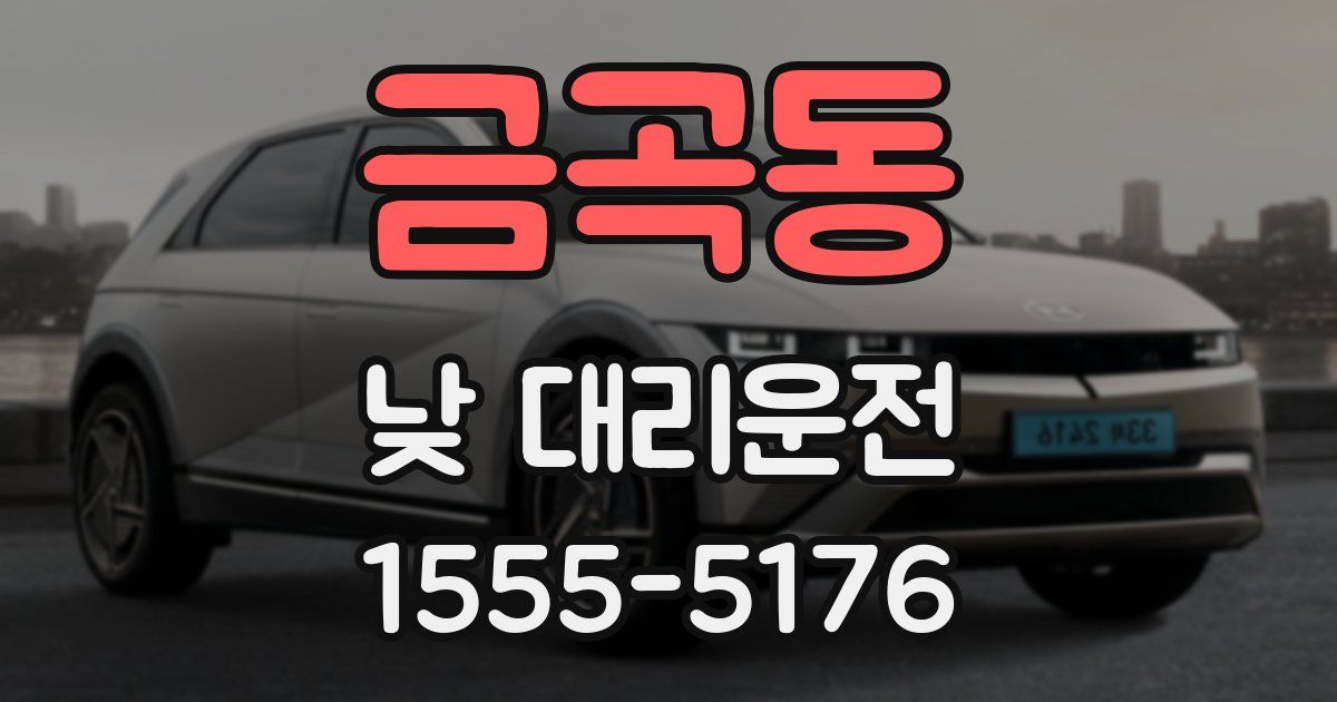 금곡동 낮 대리운전