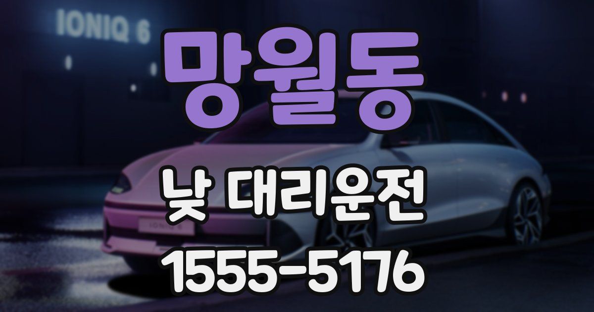 망월동 낮 대리운전