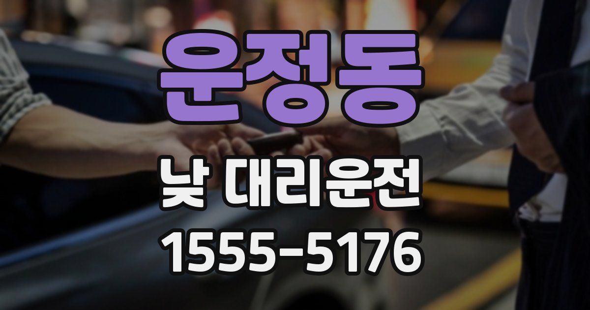 운정동 낮 대리운전