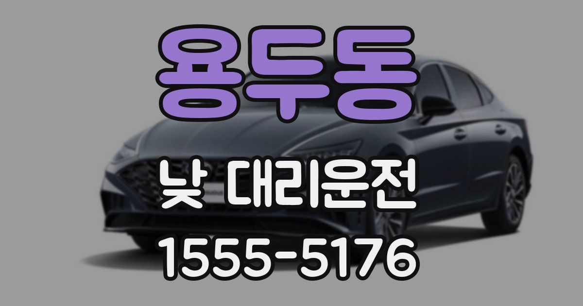 용두동 낮 대리운전