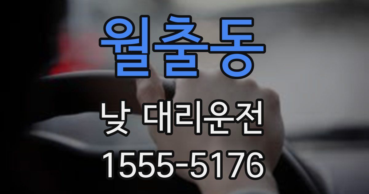 월출동 낮 대리운전