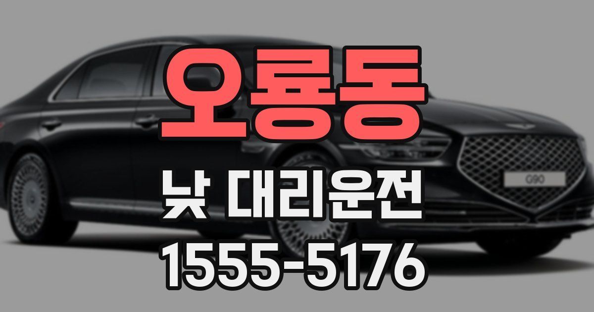 오룡동 낮 대리운전