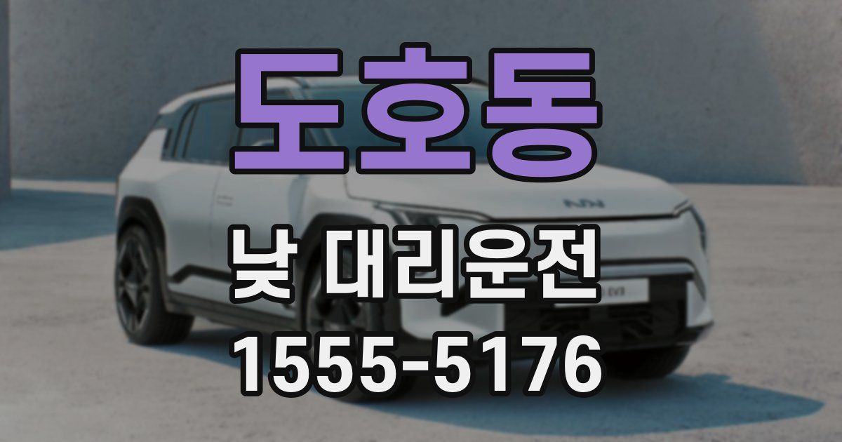 도호동 낮 대리운전