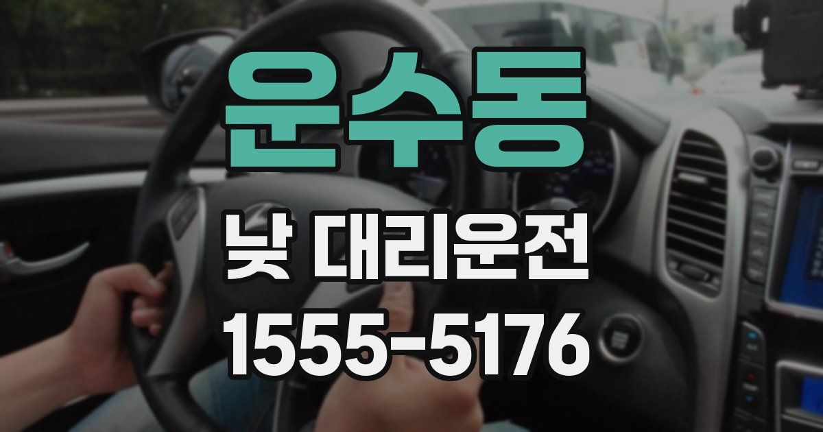 운수동 낮 대리운전