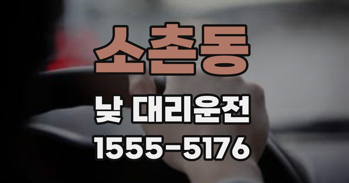 소촌동 낮 대리운전