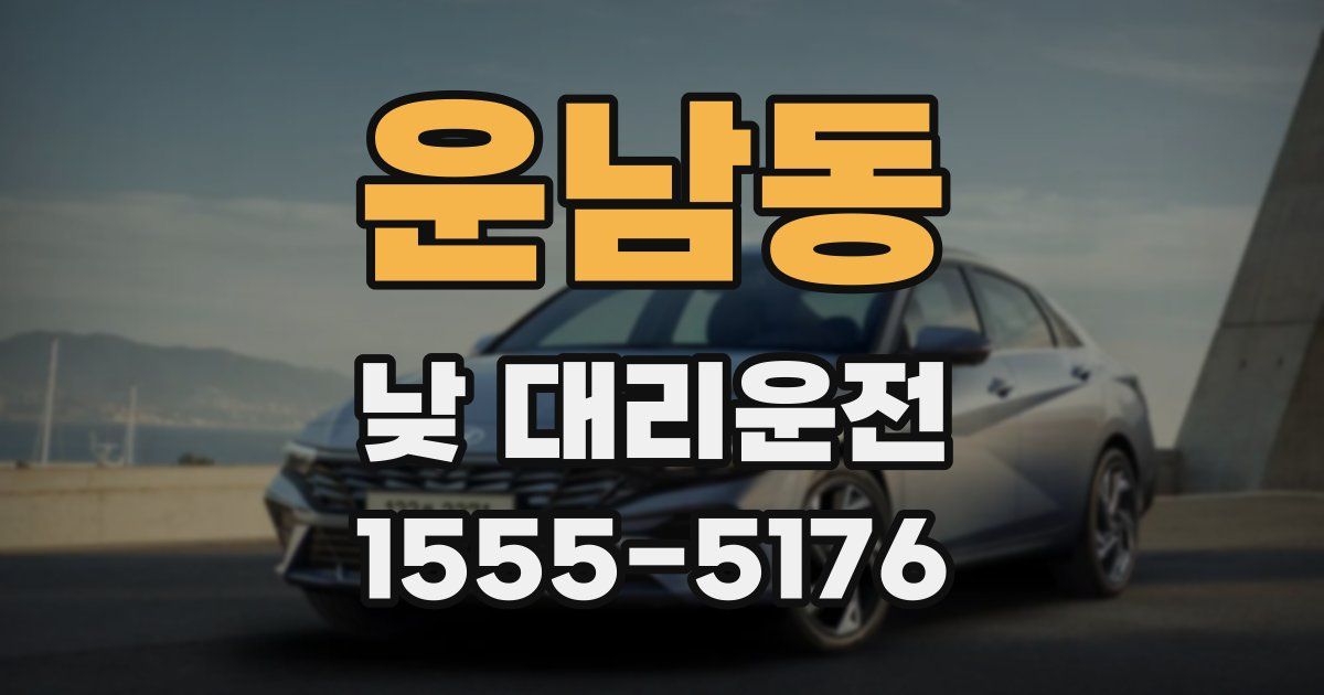 운남동 낮 대리운전