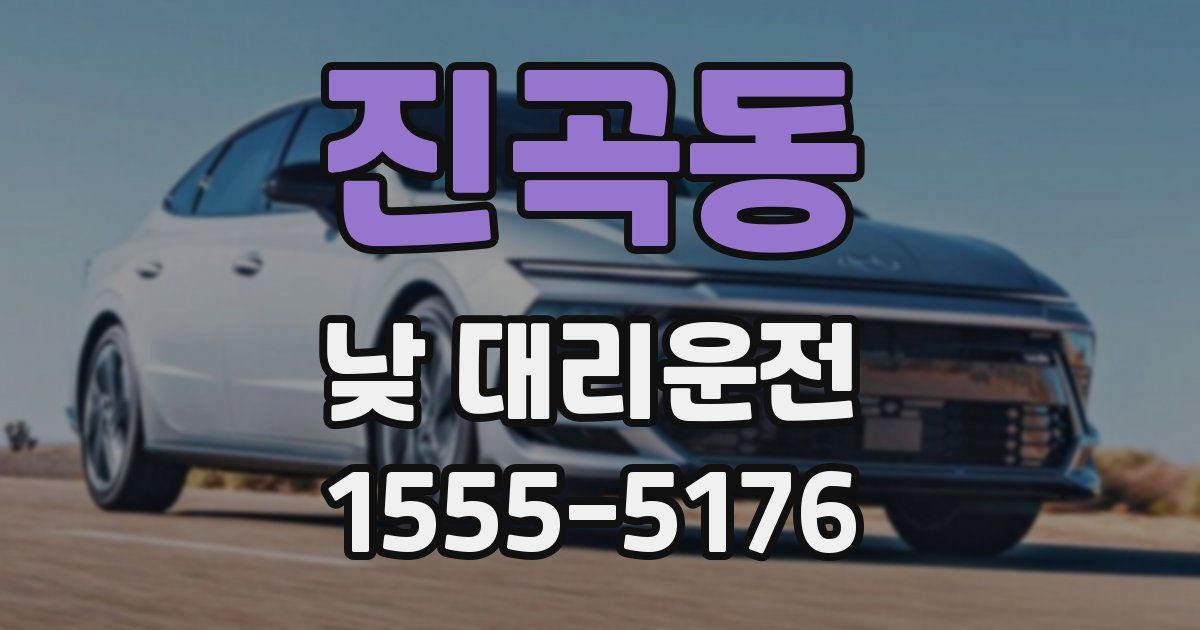 진곡동 낮 대리운전