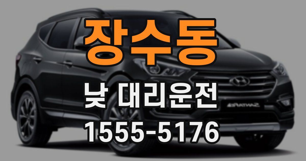장수동 낮 대리운전