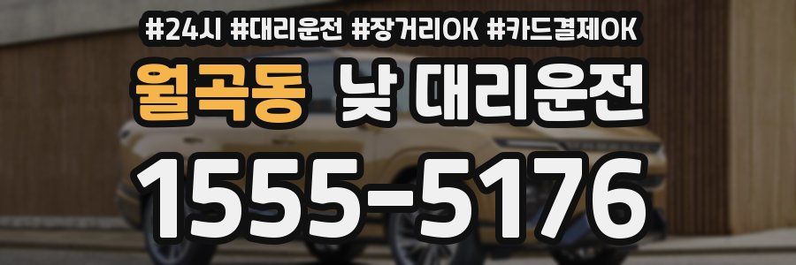 월곡동 낮 대리운전