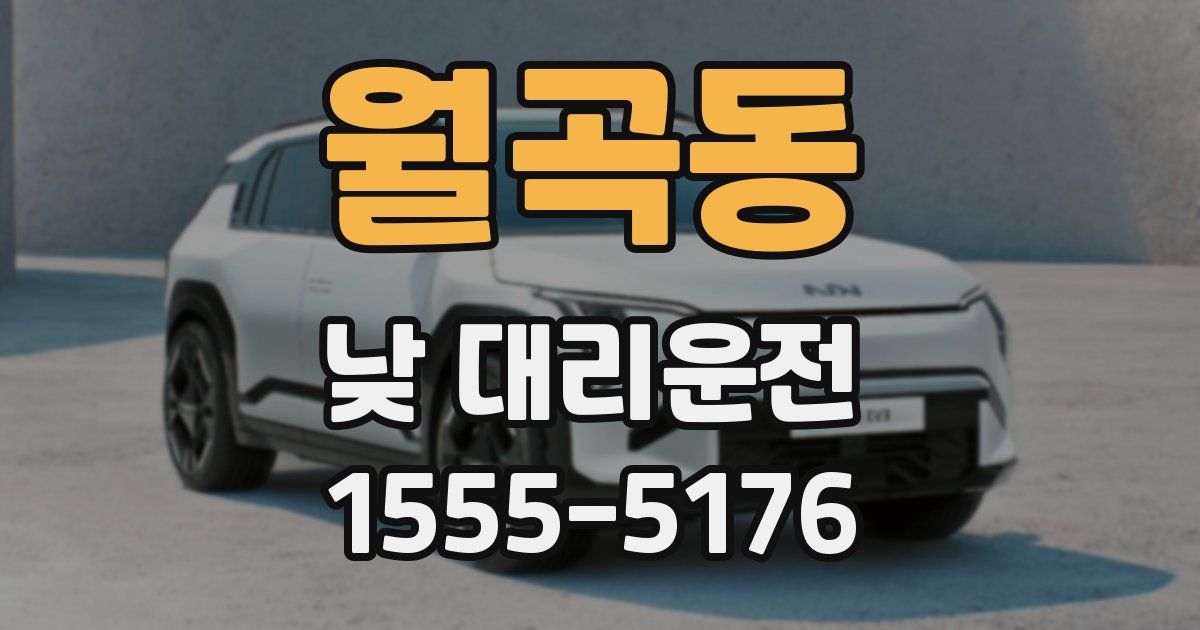 월곡동 낮 대리운전