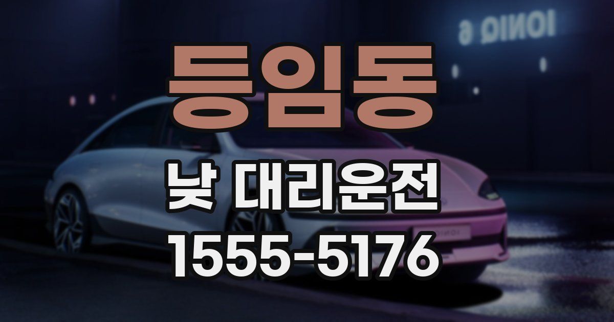 등임동 낮 대리운전