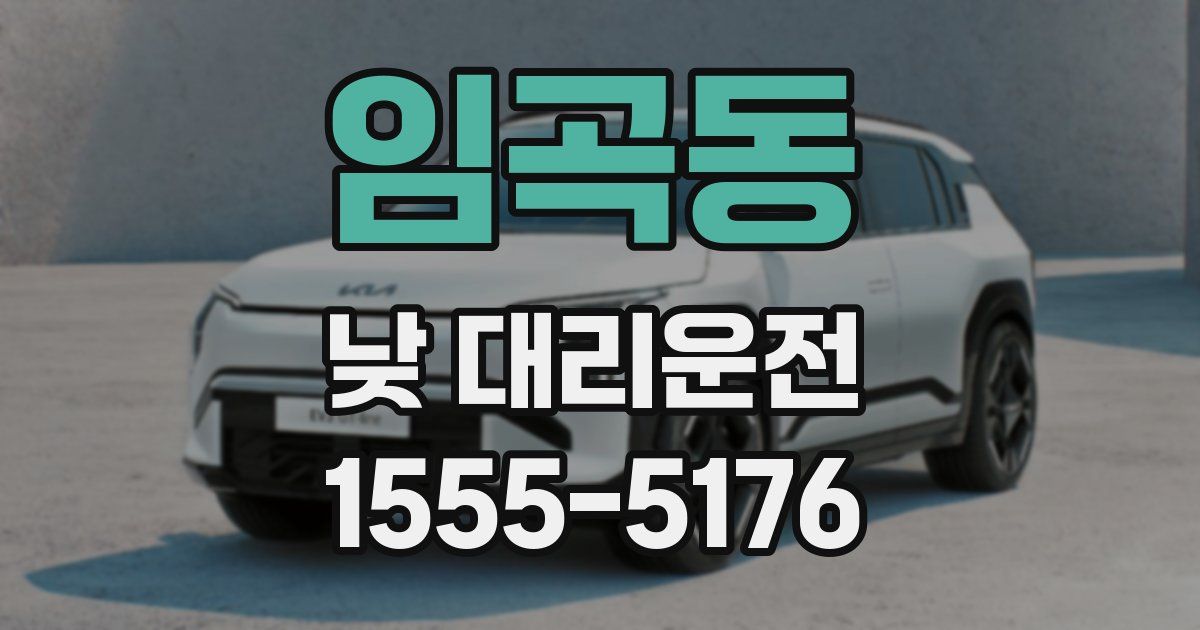 임곡동 낮 대리운전