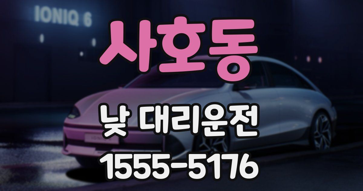 사호동 낮 대리운전