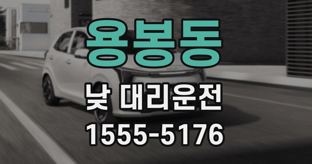 용봉동 낮 대리운전